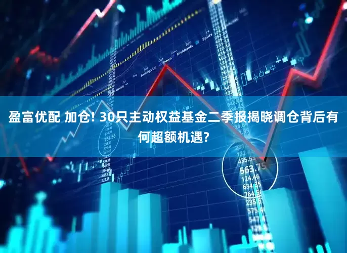 盈富优配 加仓! 30只主动权益基金二季报揭晓调仓背后有何超额机遇?