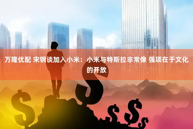 万隆优配 宋钢谈加入小米：小米与特斯拉非常像 强项在于文化的开放